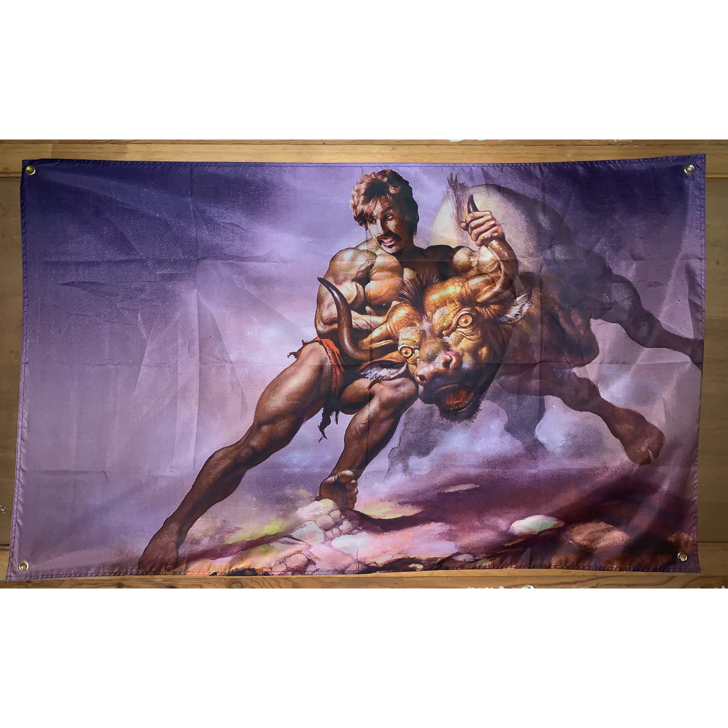 Bull by The Horns Dodgeball White Goodman Painting 3 x 5 Feet Etsy