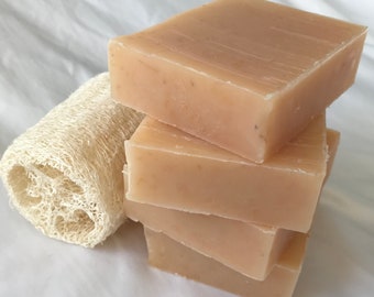 Lemon Lime Loofah Soap, Vegan Exfoliating Shea Butter Soap, Handmade in Halifax, NS, Canada