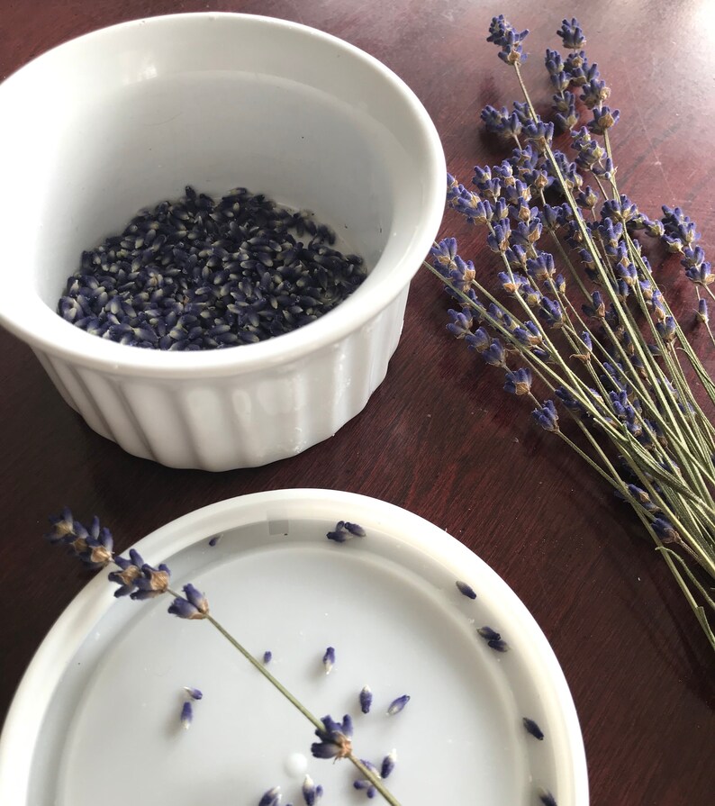 Puede incluir: Un ramequ&iacute;n de cer&aacute;mica blanca lleno de capullos de lavanda secos de color p&uacute;rpura, acompa&ntilde;ado de un manojo de tallos de lavanda secos con flores p&uacute;rpuras y una ramita de lavanda sobre una tapa circular blanca separada.