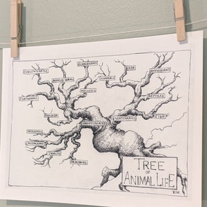 May include: A black and white illustration of a tree with branches representing different animal classifications. The tree is labeled "Tree of Animal Life".