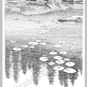 Boundary Waters Series: Lilypads on Lake 2