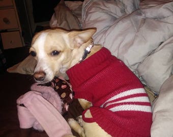 Dog sweater