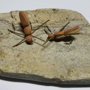 May include: Two brown and tan foam ant fly fishing lures on a light brown stone background.