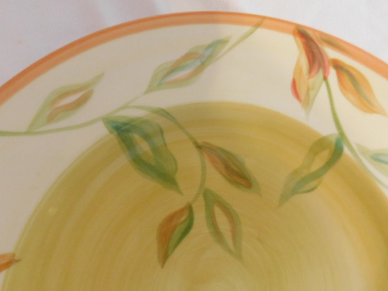 D The Cellar made for Macy/'s Department Store Dinner Plates Lot of 4 Summer Fun and Bright