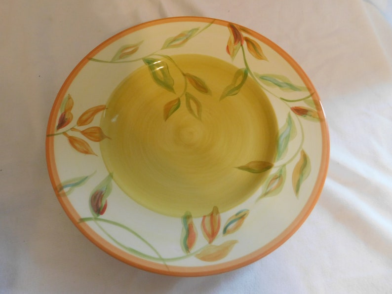 D The Cellar made for Macy/'s Department Store Dinner Plates Lot of 4 Summer Fun and Bright