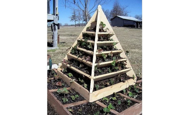 Strawberry Pyramid Planter Plans, Tower Planter Plans digital format image 2