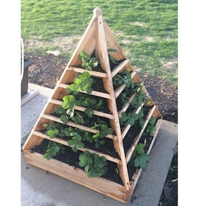 Strawberry Pyramid Planter Plans, Tower Planter Plans ( digital format )