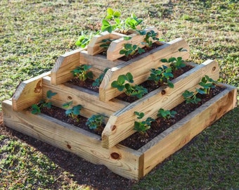 Progetti fai da te per fioriere piramidali di fragole
