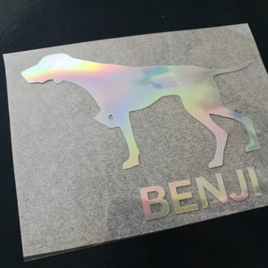 Puede incluir: Una pegatina de vinilo plateada iridiscente con la silueta de un perro y el nombre "BENJI" debajo.