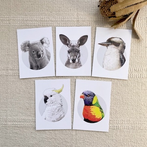 Australian Wildlife Animal Cartes postales en papier recyclé écologiques