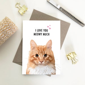 I Love You Miauwachtig Veel, Ginger Cat, Liefde Eco Vriendelijke Gerecyclede Papieren Kaarten