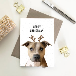 Staffy, Buon Biglietto di Natale, Biglietti d'auguri per stagioni, Cartoline di Natale eco-amichevoli in carta riciclata