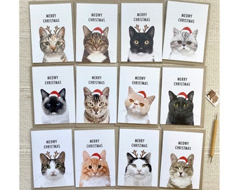 Cat Lover Pack of 12 Mixed Eco Friendly Recycled Paper Christmas Cards Plus Bonus 4 Christmas Gift Tags