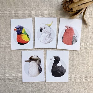 Australian Bird Eco Friendly Recycled Paper Postcards