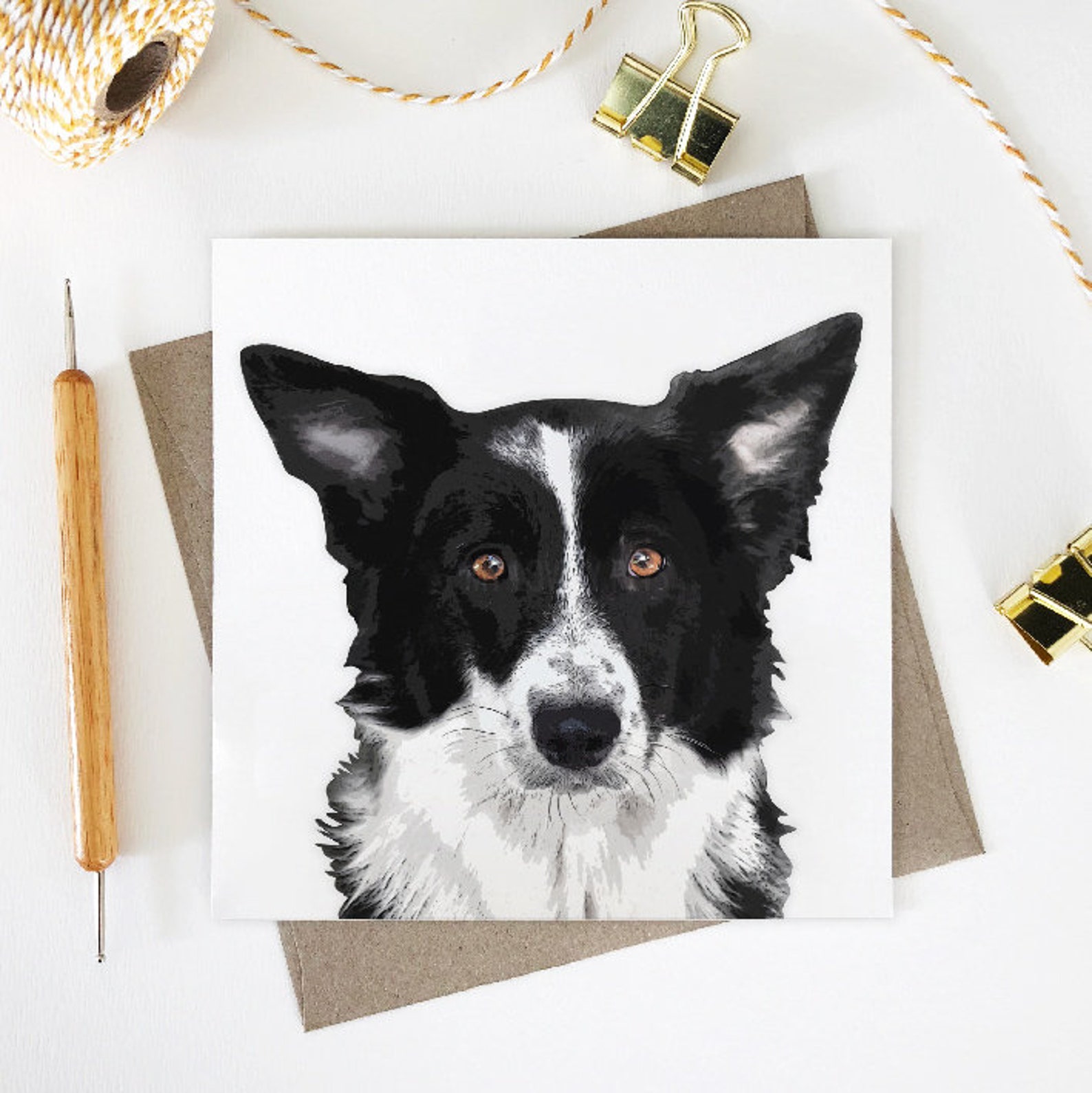 12 Unique Border Collie Gift Ideas