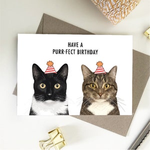Have a Purrfect Birthday Card, Cat Birthday Eco Friendly Recycled Paper Cards