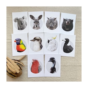 Lot de 10 cartes postales en papier recyclé respectueux de l'environnement des animaux australiens