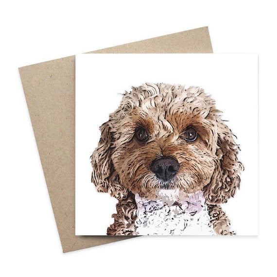 cavoodle gifts