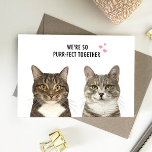 Siamo così purr-fect insieme, Cat Love Eco Friendly Carte di carta riciclata