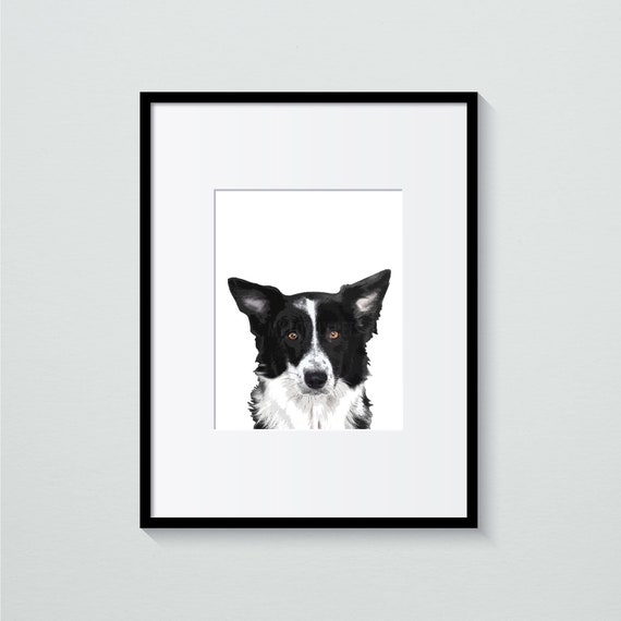 Border Collie, Pet Archival Interior Art Print — My Lovely Pets Design