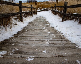 Snowy Path