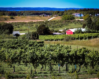 Digital Download Photography- Agricultural Landscape of the Michigan Lakeshore
