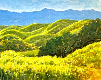 Spring Flowers on the Carrizo Plain