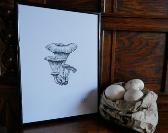 Mushrooms A4 print