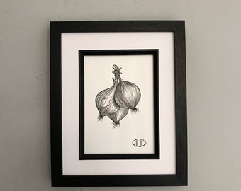 Original Onions Pen Drawing by Jo Chastney