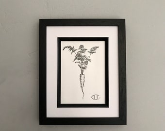 Original Carrot Pen Drawing by Jo Chastney.