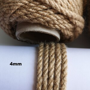 May include: Close-up of natural brown jute twine, showing the texture of the rope. The twine is 4mm thick and is wound around a cardboard tube.