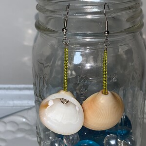 Yellow and Tan Shell Earrings