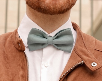 Light blue bow tie