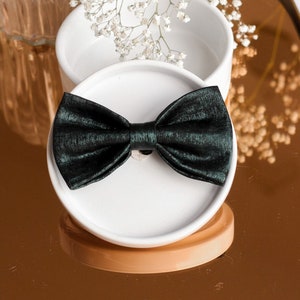 May include: A dark green bow tie on a white round box with a light brown base. The box is surrounded by white flowers.