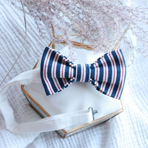 Striped blue-white red butterfly tie