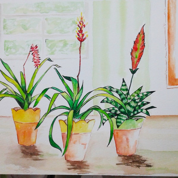 Interior garden. Bromeliads. Original watercolor