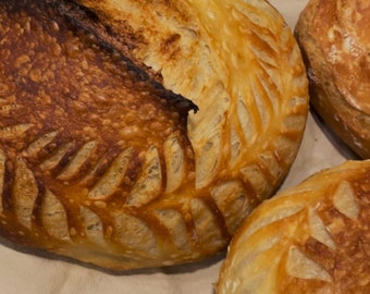 Sauerteigbrot Rezept // Einfach zu Befolgen // Für Anfänger geeignet!