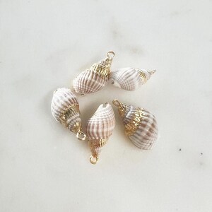 1 Stück Gold überzogener natürlicher Muschel-Ozean-nautischer Charme-Anhänger