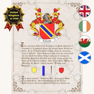 カスタムオーダーの姓の歴史、紋章の意味、紋章のデザイン、紋章学の意味、デジタルダウンロード、姓の歴史の印刷