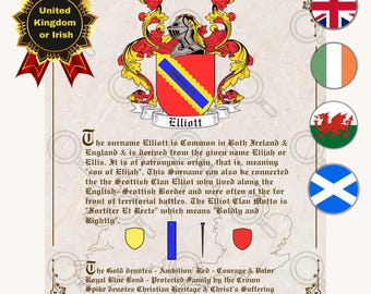 Custom Order Surname History, Coat of Arms Meaning, Coat of Arms Design, Heraldry Meaning, Digital Download, Last Name History Printable