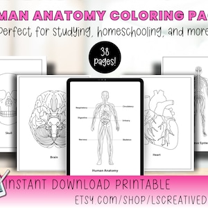 Human Anatomy Coloring Pages PDF | 38 Pages | Science Workbook for Kids, Homeschool & Med Students | Digital Download
