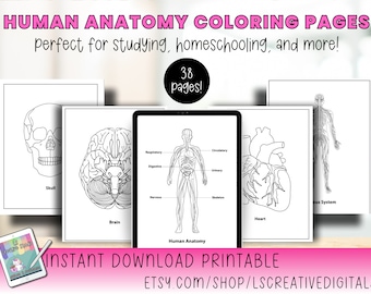 Human Anatomy Coloring Pages PDF | 38 Pages | Science Workbook for Kids, Homeschool & Med Students | Digital Download