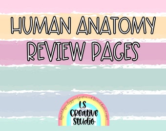 Human Anatomy Coloring Pages | Body Science worksheet | Med school activity | Human systems printable | Body cavities worksheets