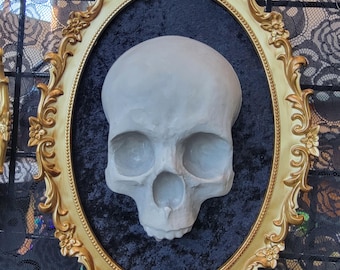 Macabre Gothic Skull Plaster Wall Decor in Vintage-Style Gold Baroque Frame
