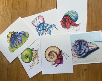 Hermit crab art cards (10 per pack)