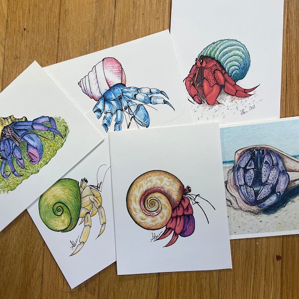 Hermit crab art cards (10 per pack)