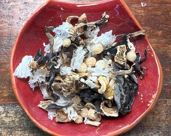 NEW ITEM! Fungus Fiesta