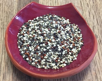 Organic Sprouting Seed Mix for Hermit Crabs