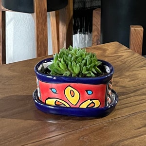 Könnte beinhalten: Eine kleine Sukkulente in einem blauen und roten herzförmigen Keramiktopf mit einem bunten Blumenmuster. Der Topf steht auf einem Holztisch.