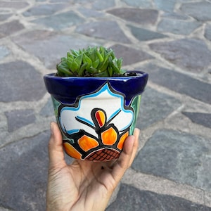 Könnte beinhalten: Eine kleine Sukkulente in einem farbenfrohen, handbemalten Keramiktopf. Der Topf hat eine blaue Basis mit einem weißen, gelben, orangen und grünen Blumendesign.